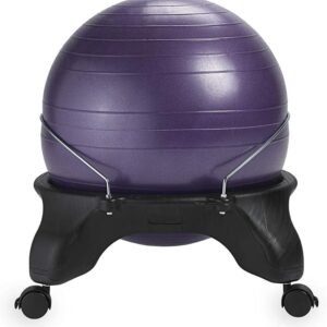 Classic Backless Balance Ball Chair – Exercise Stability Yoga Ball Premium Ergonomic Chair for Home and Office Desk with Air Pump, Exercise Guide and Satisfaction Guarantee